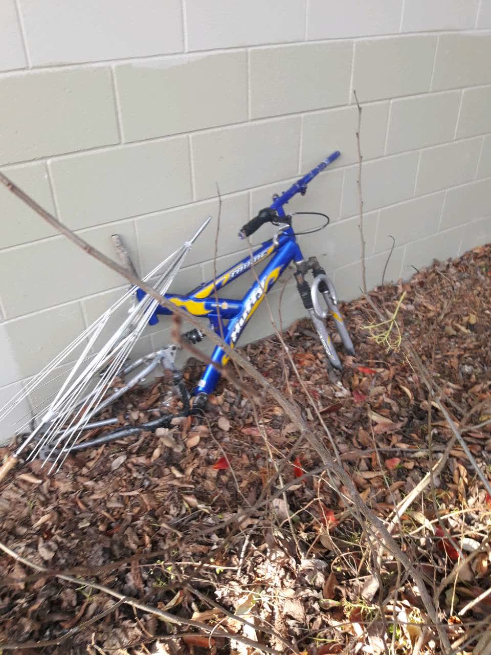 The photograph attached to this dumped rubbish report