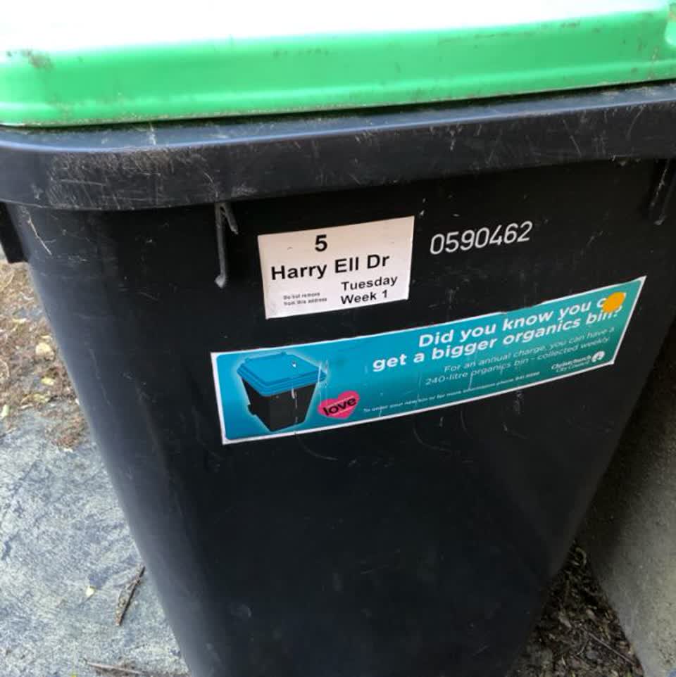 The photograph attached to this rubbish and bins - general report
