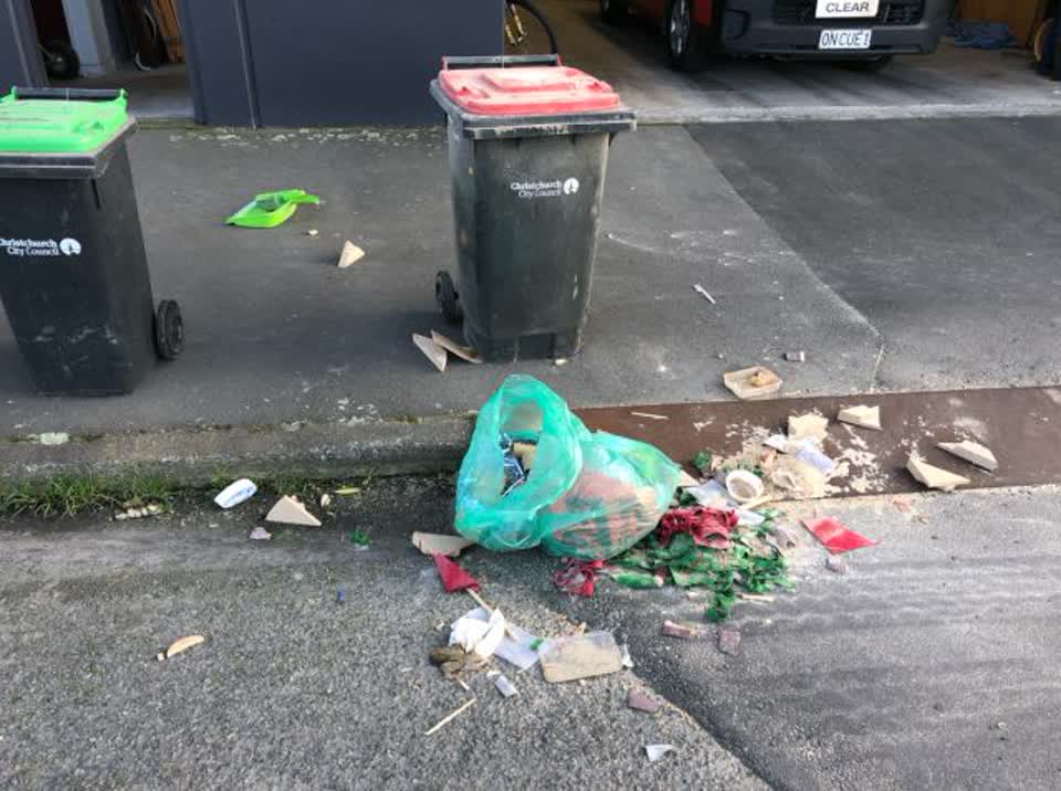 The photograph attached to this rubbish and bins - general report