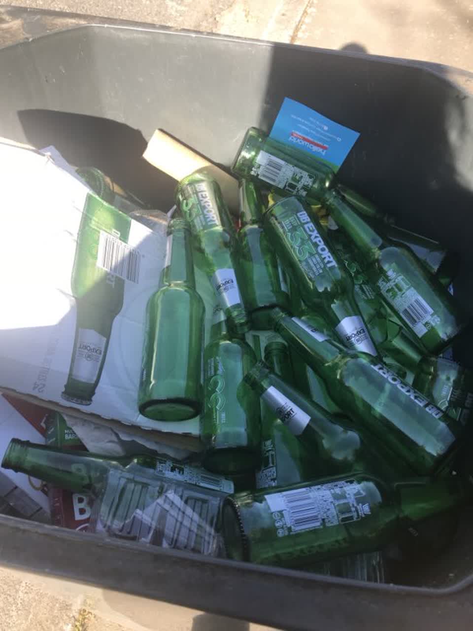 The photograph attached to this rubbish and bins - general report