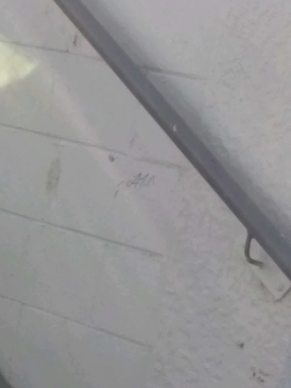 The photograph attached to this graffiti - general report
