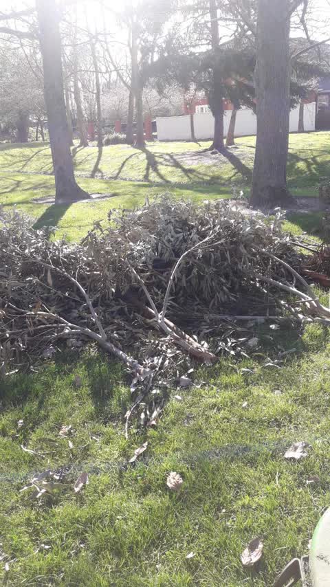 Park - General Request — a report photo