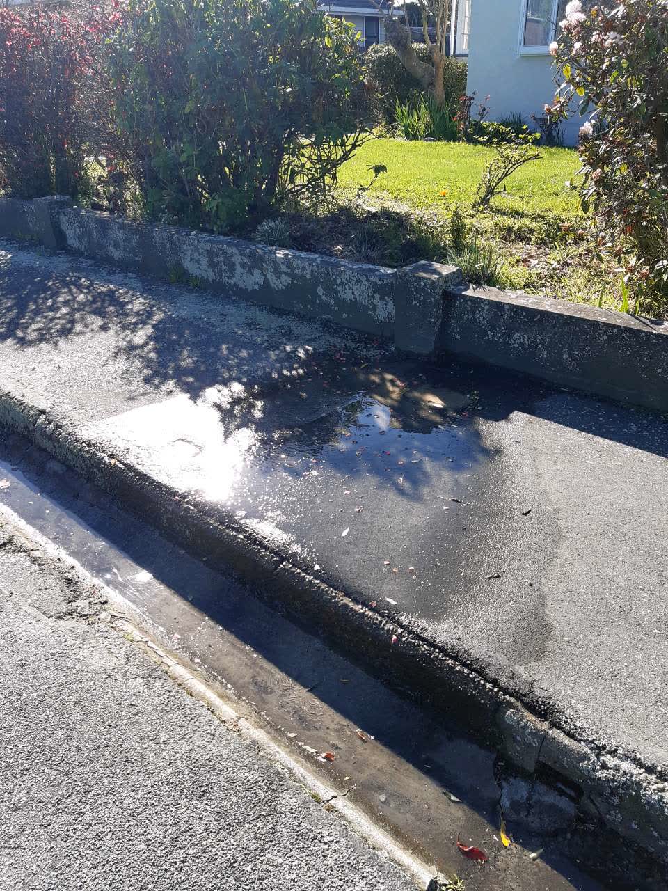 The photograph attached to this water general report