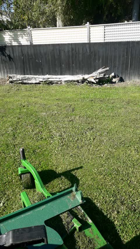 Fallen Tree, a report photo