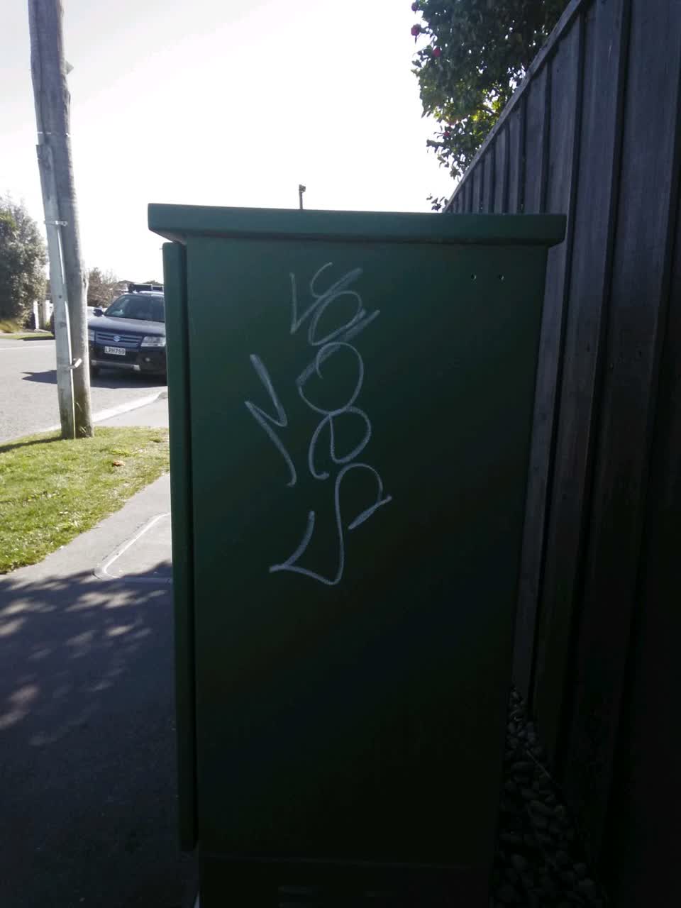 The photograph attached to this graffiti - general report