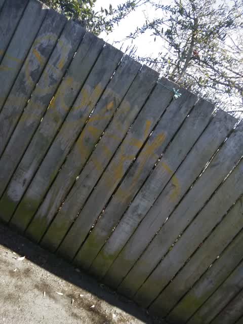 Graffiti - General, a report photo