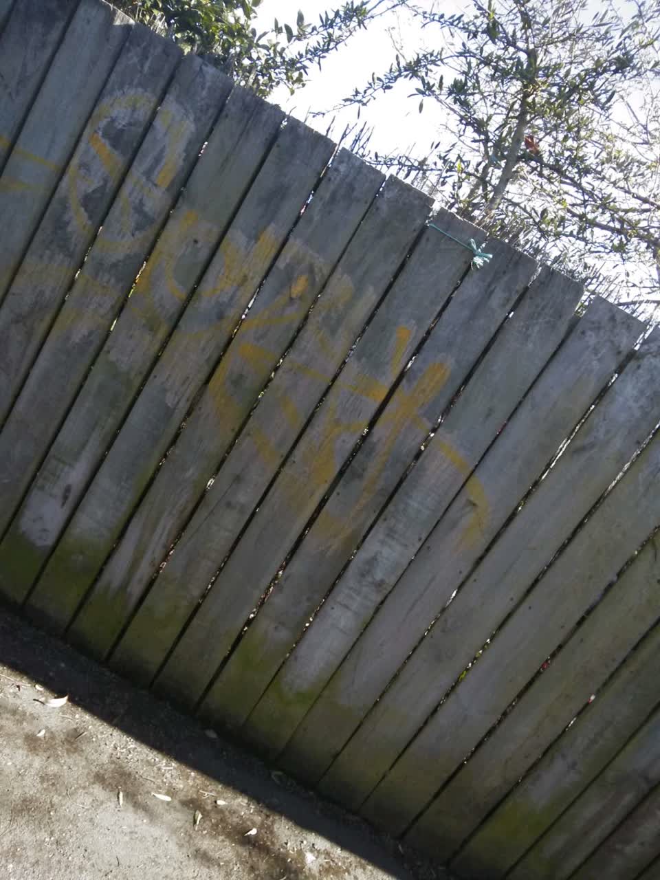 The photograph attached to this graffiti - general report