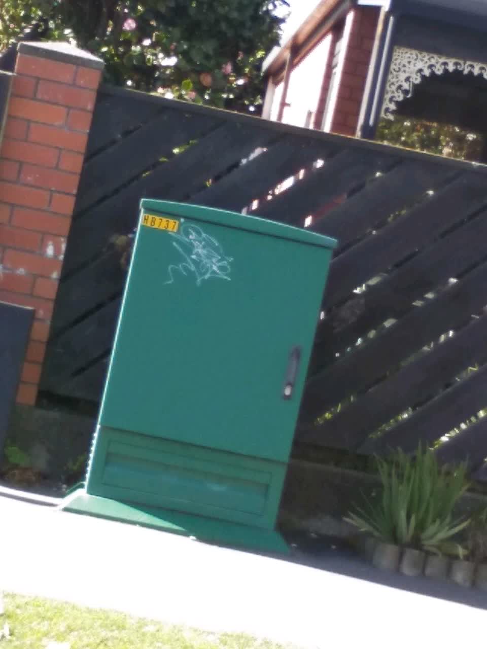 The photograph attached to this graffiti - general report