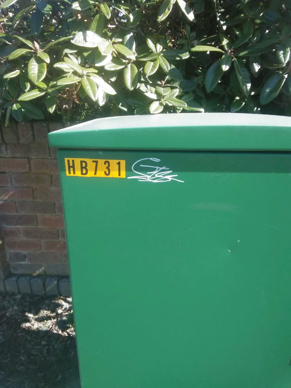 The photograph attached to this graffiti - general report