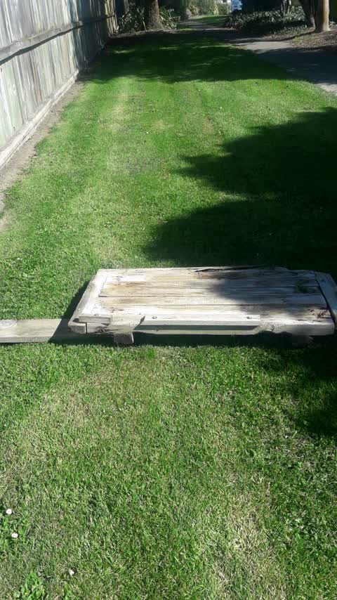 Dumped Rubbish, a report photo