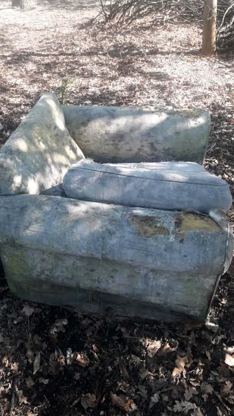 Dumped Rubbish, a report photo