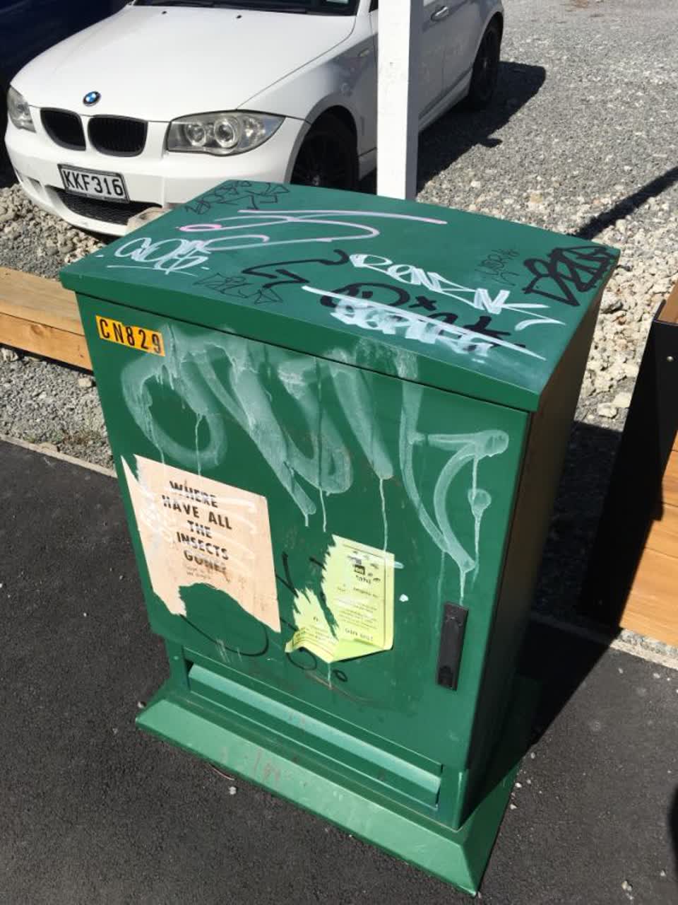 The photograph attached to this graffiti - general report