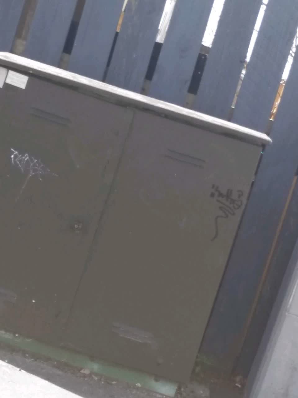The photograph attached to this graffiti - general report