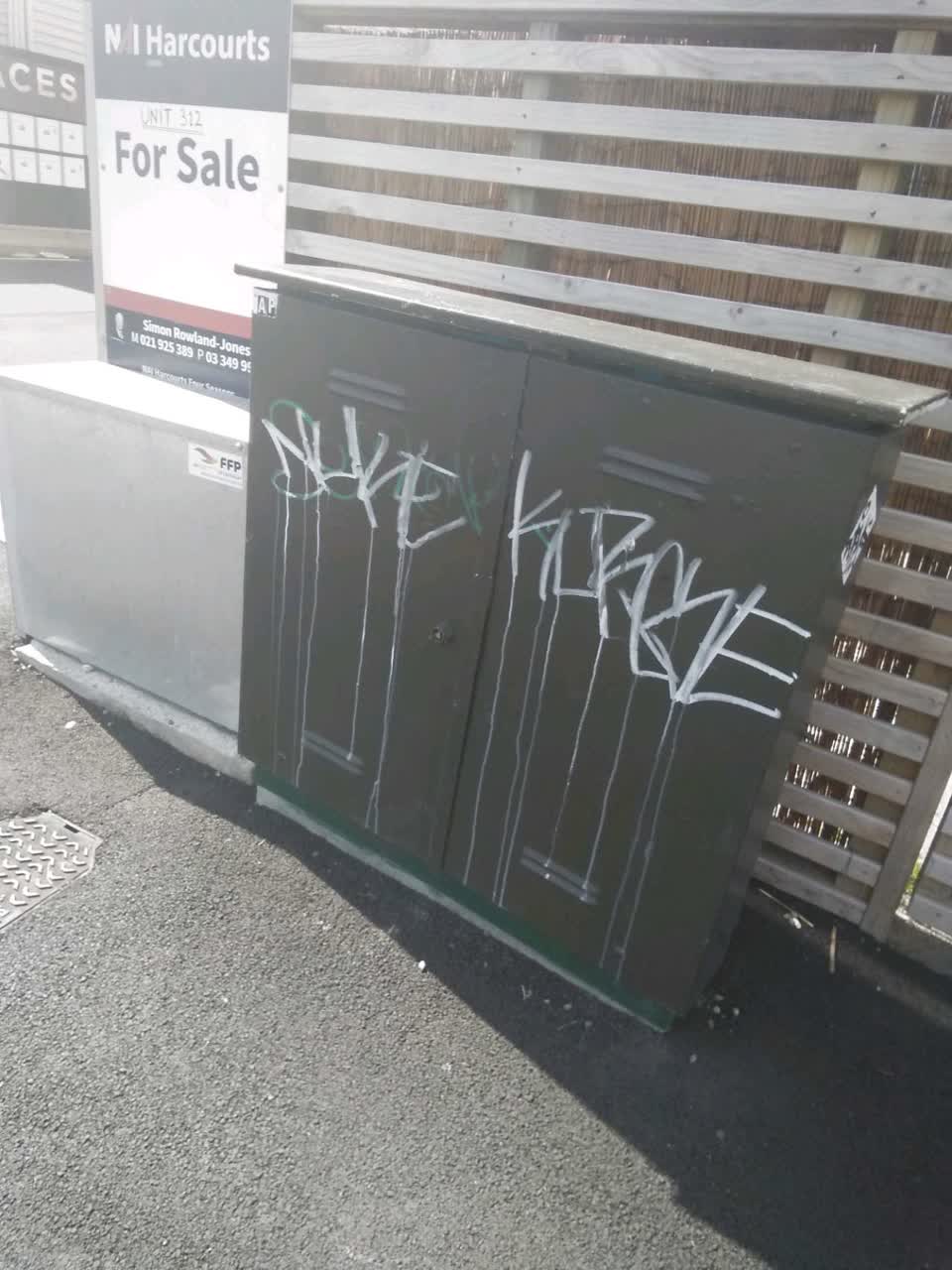 The photograph attached to this graffiti - general report