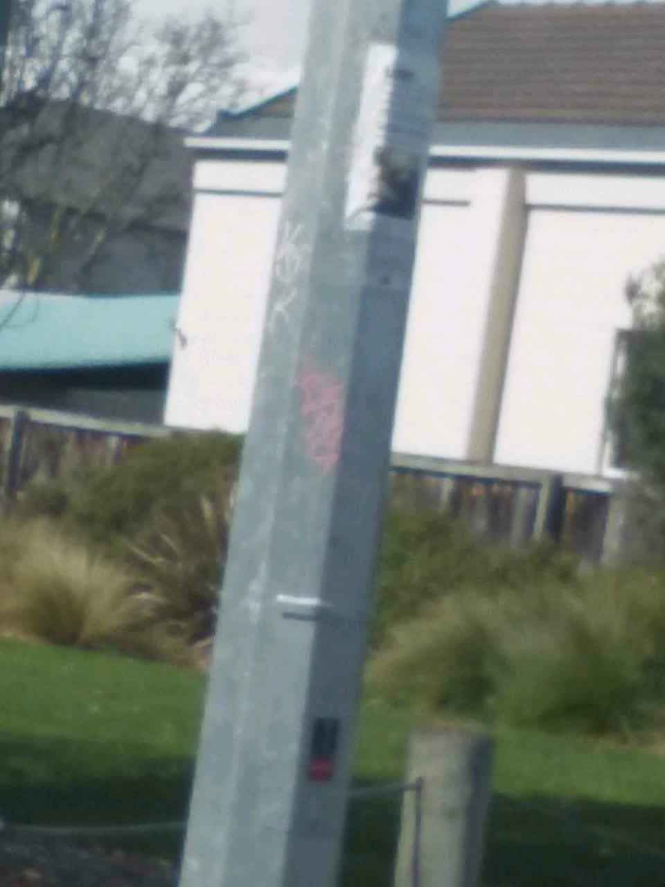 The photograph attached to this graffiti - general report
