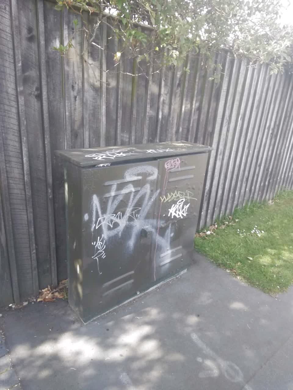 The photograph attached to this graffiti - general report