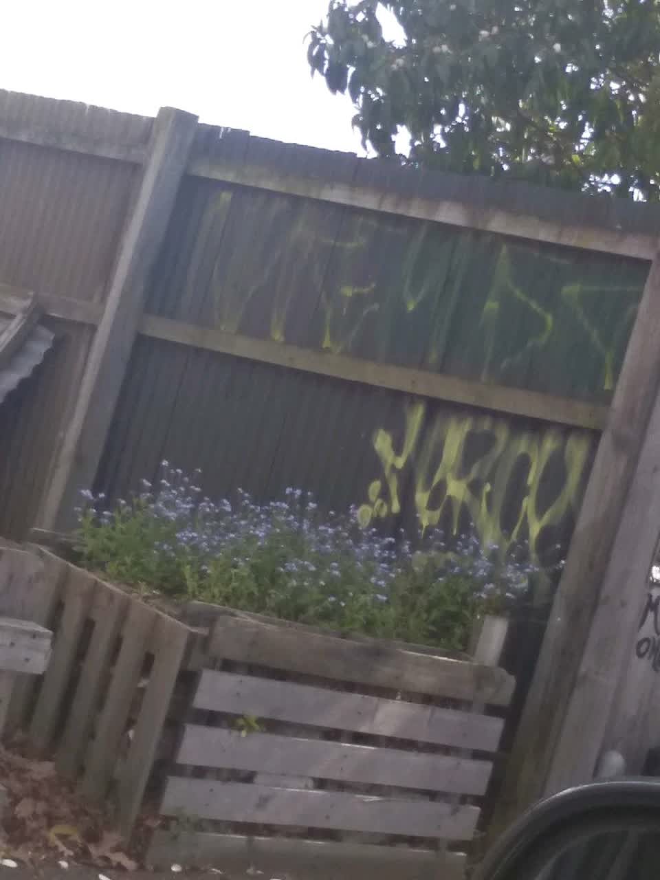 The photograph attached to this graffiti - general report