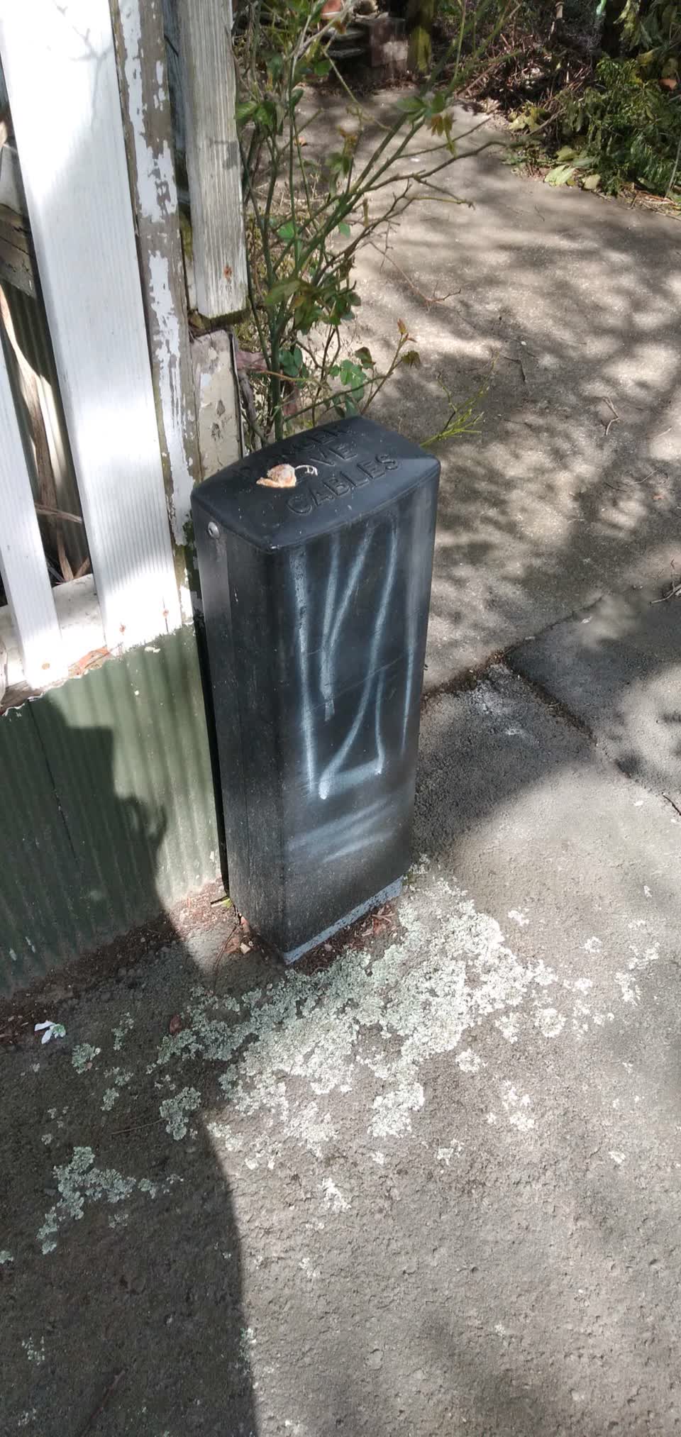 The photograph attached to this graffiti - general report
