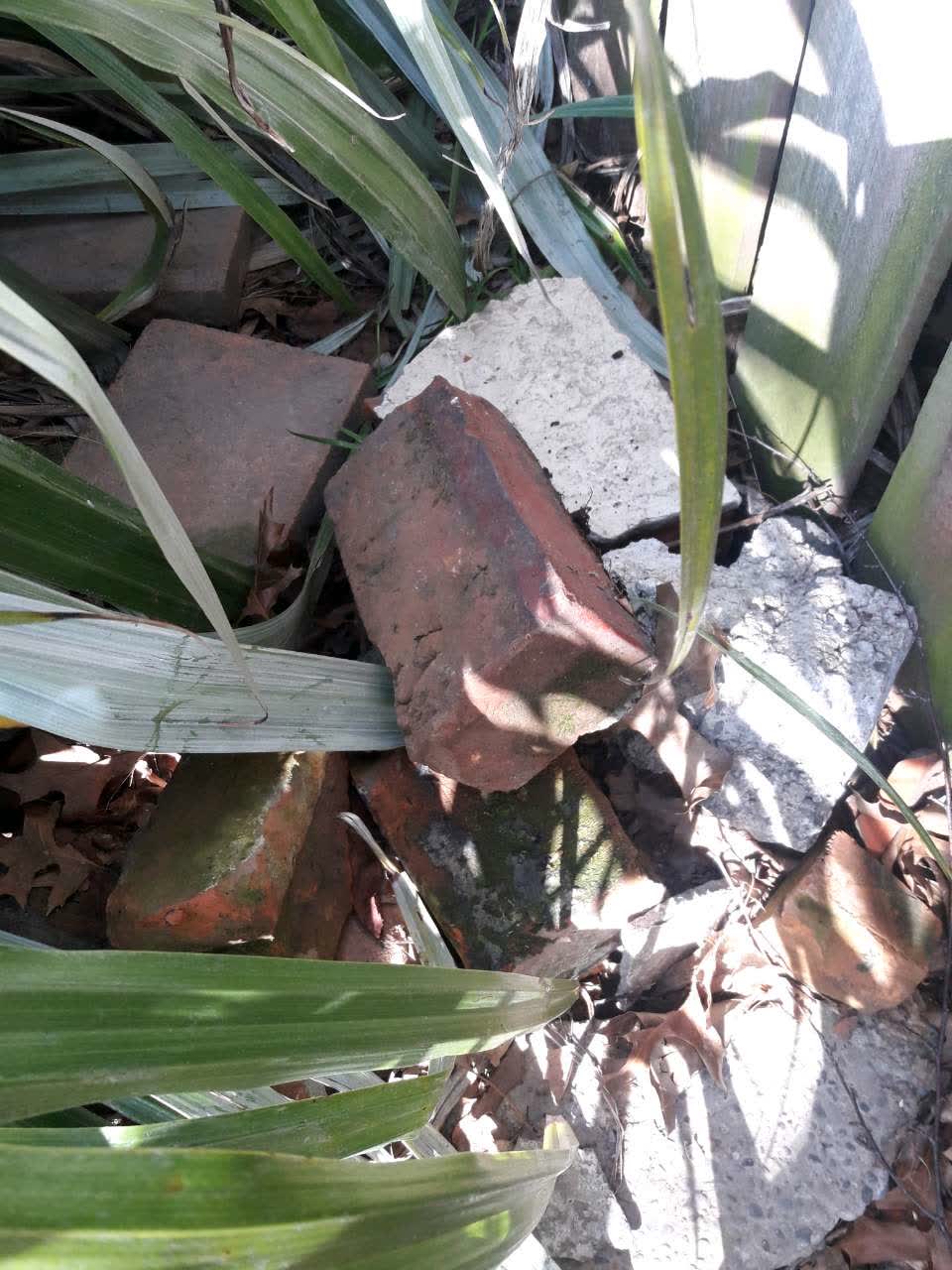 The photograph attached to this dumped rubbish report