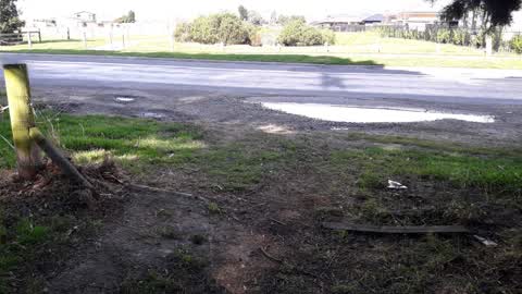 Park - General Request, a report photo