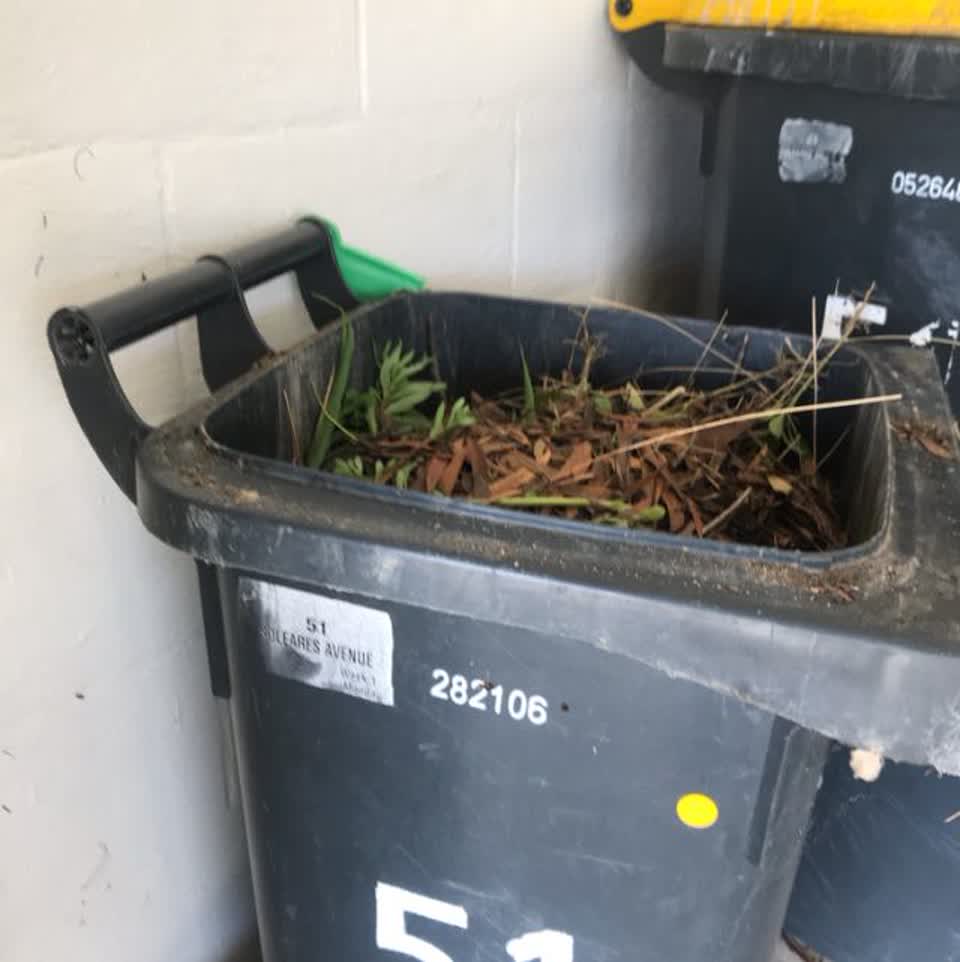 The photograph attached to this rubbish and bins - general report