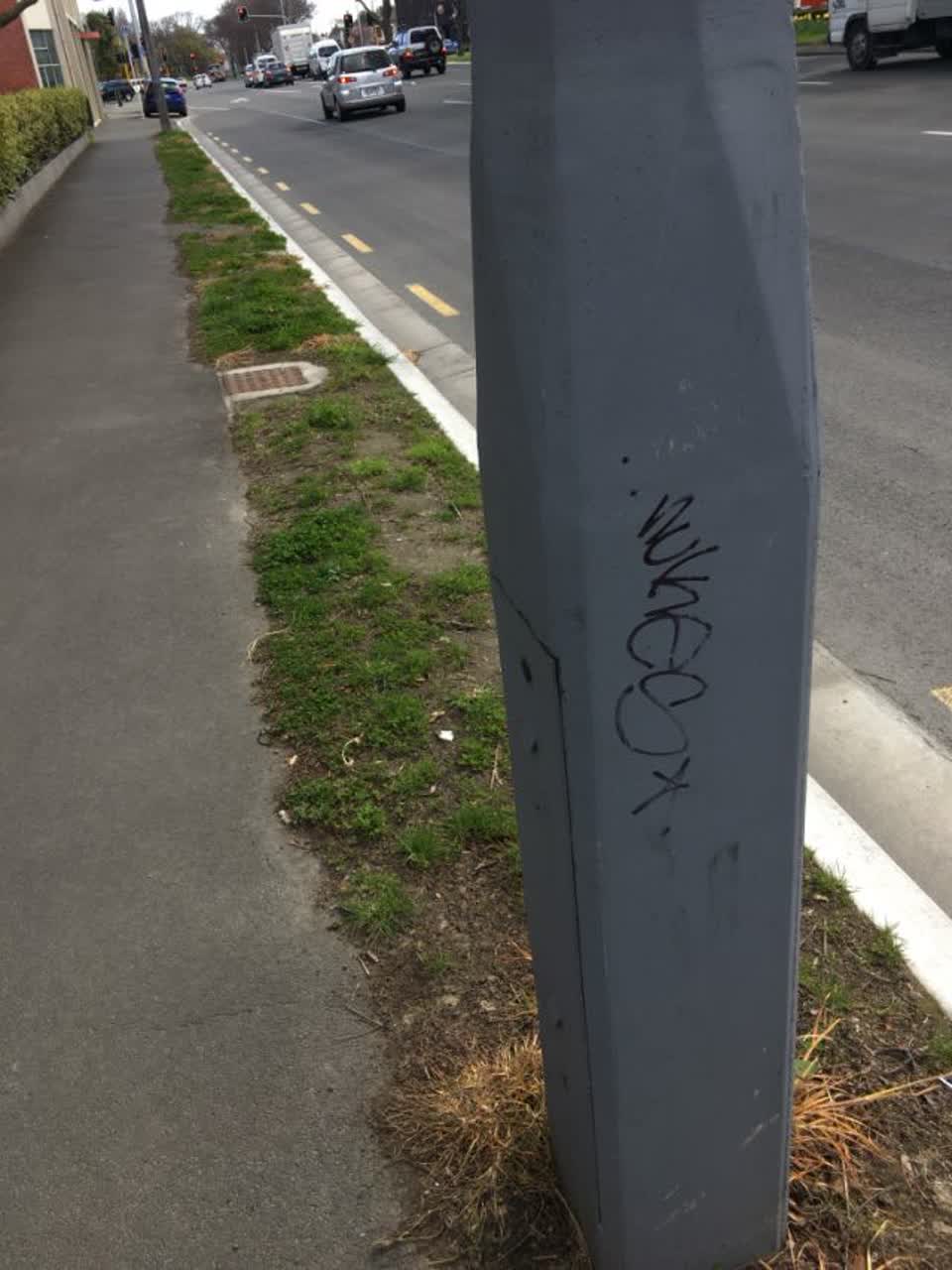 The photograph attached to this graffiti - public property report