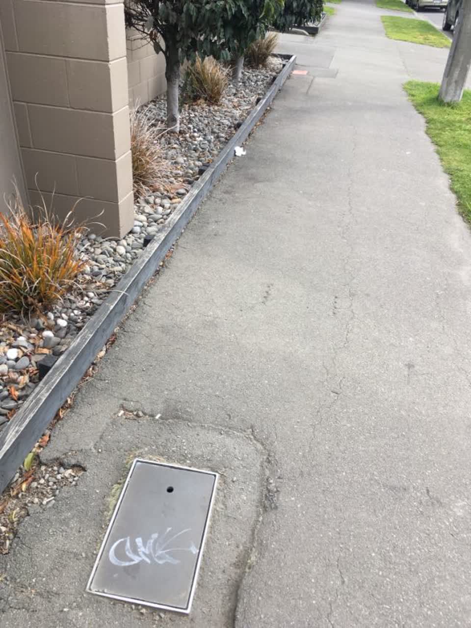 The photograph attached to this graffiti - general report