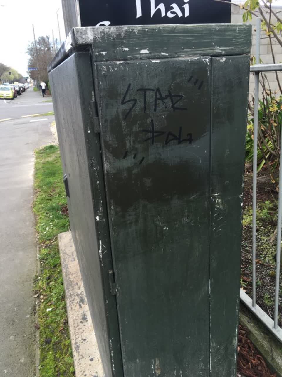 The photograph attached to this graffiti - public property report