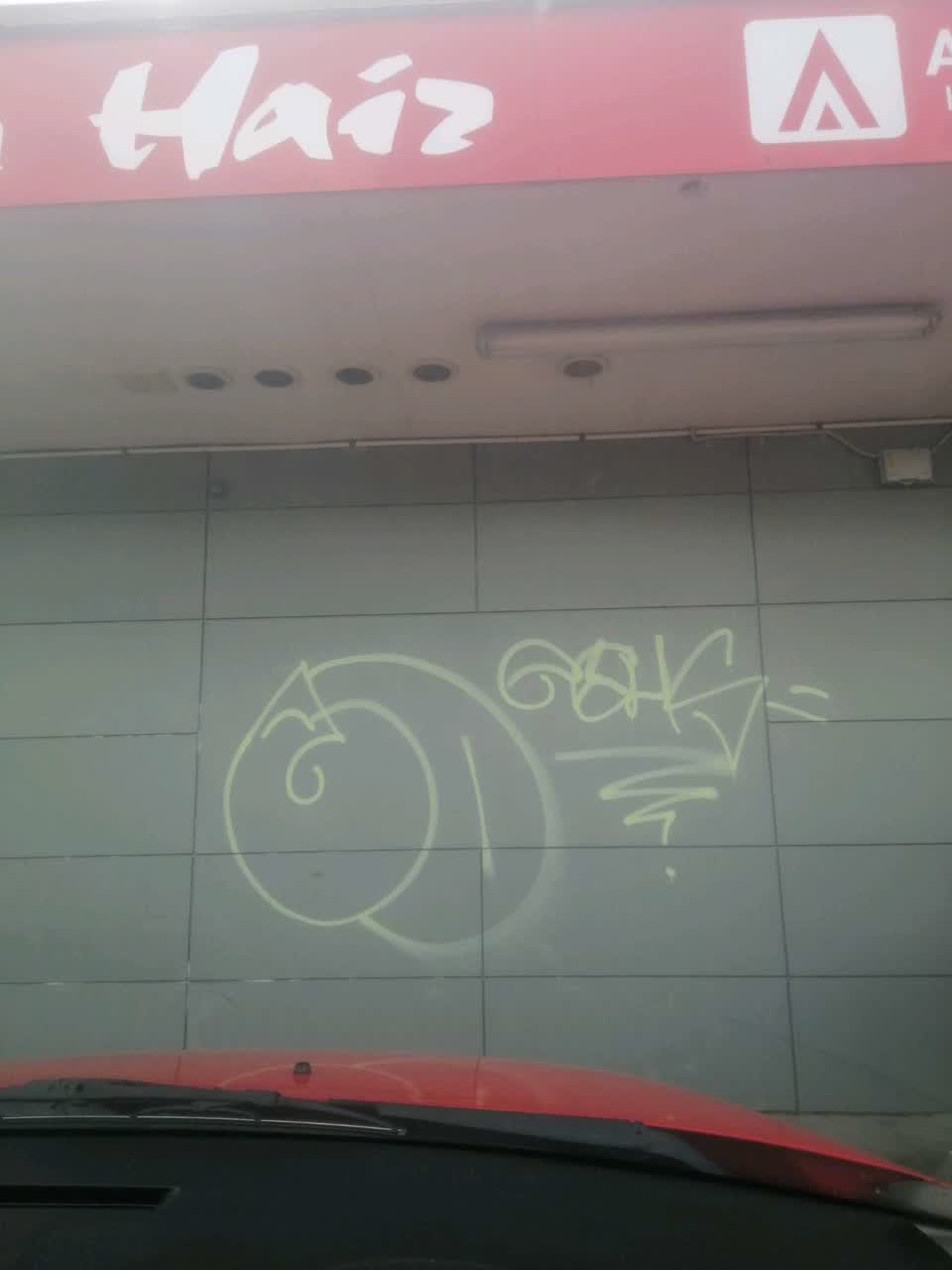 The photograph attached to this graffiti - general report