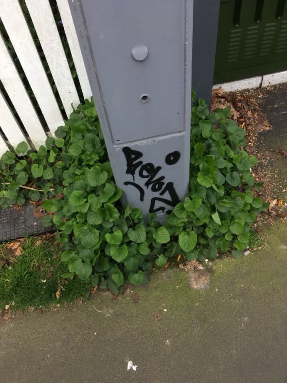 The photograph attached to this graffiti - public property report