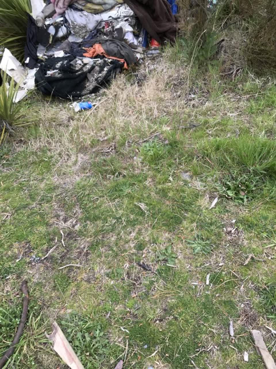 The photograph attached to this rubbish and bins - general report