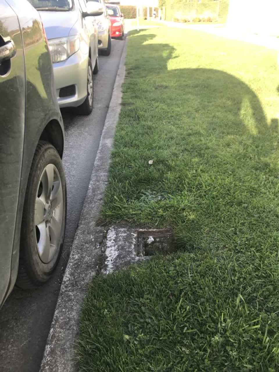 The photograph attached to this street gutters / storm water report