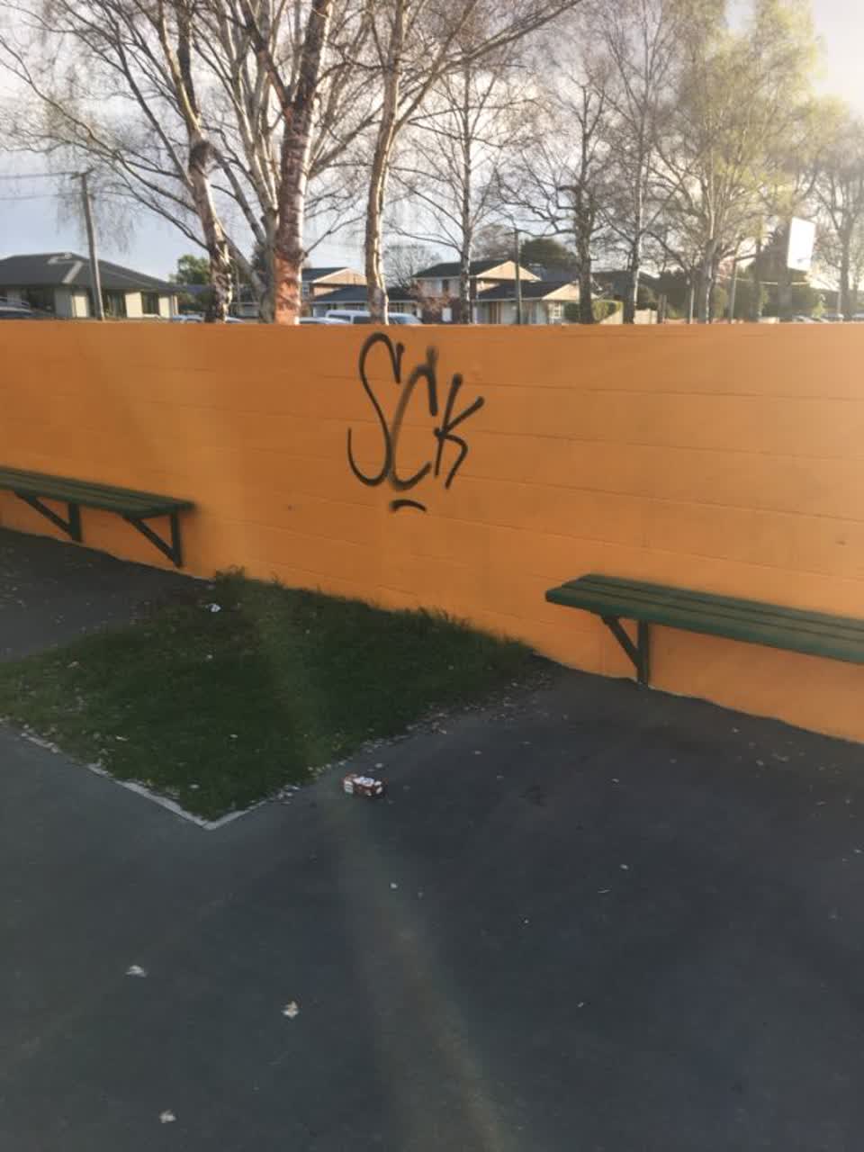 The photograph attached to this graffiti - public property report