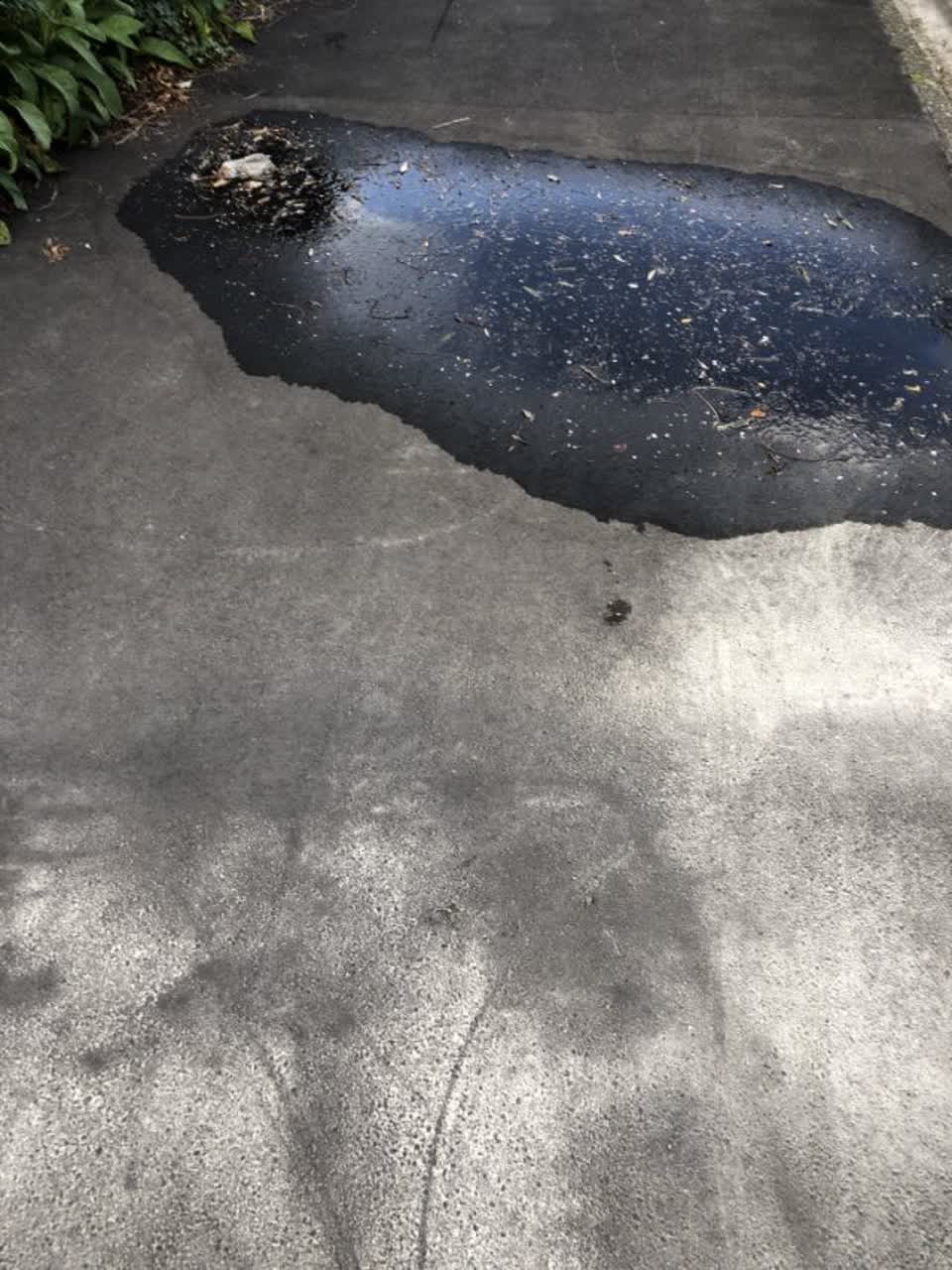 The photograph attached to this water general report