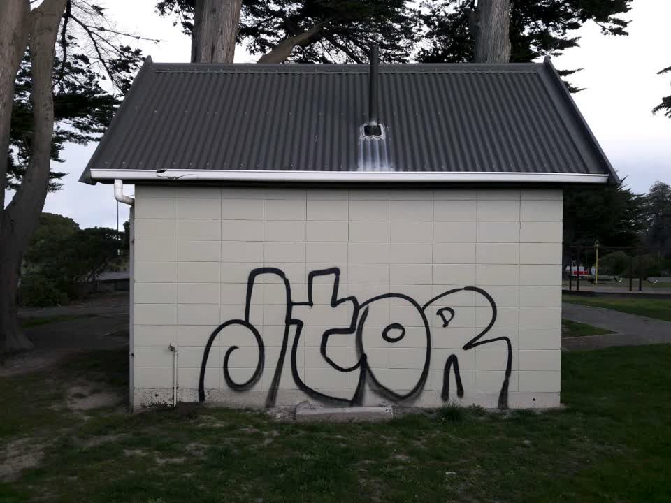 The photograph attached to this graffiti - general report