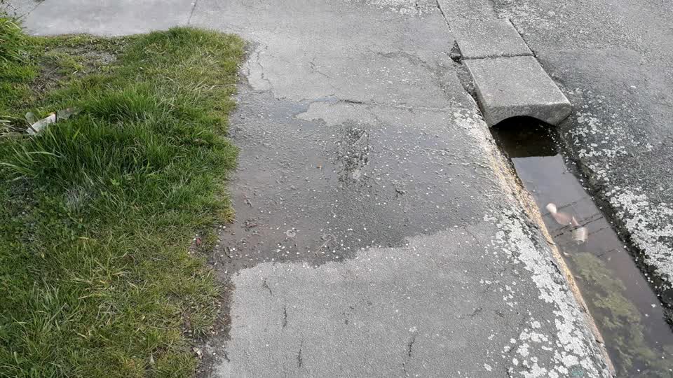 The photograph attached to this water supply report