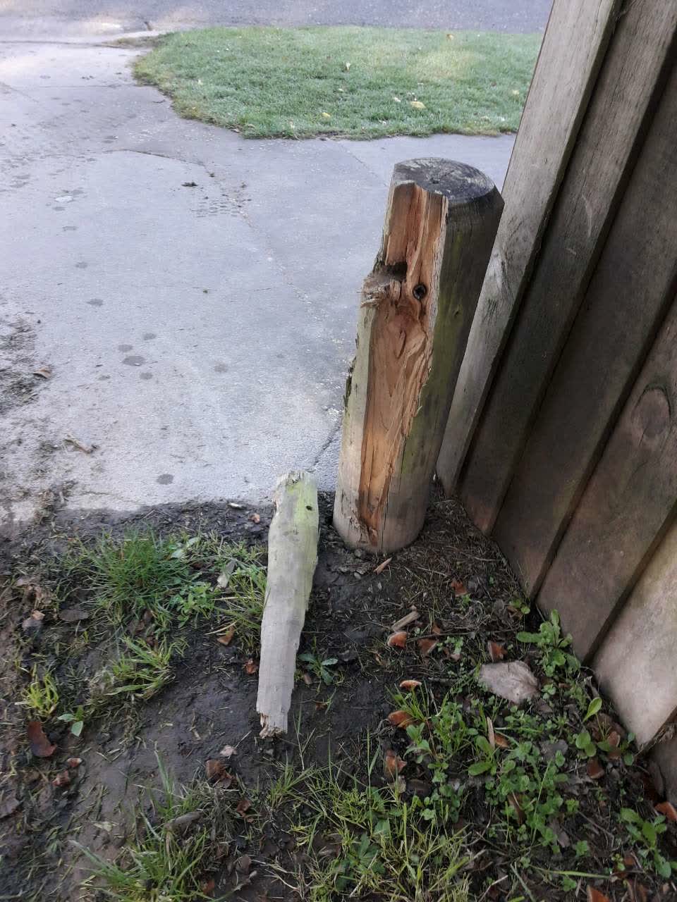 The photograph attached to this parks report