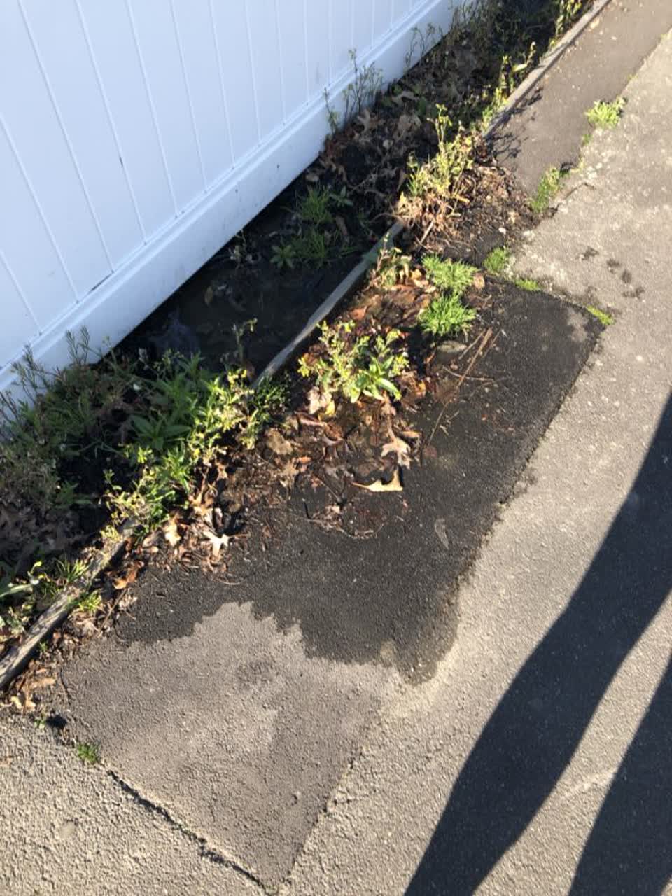 The photograph attached to this water supply report