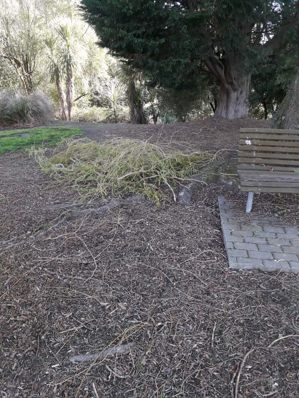 The photograph attached to this parks report