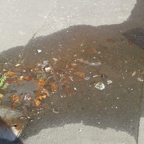 Water Supply, a report photo