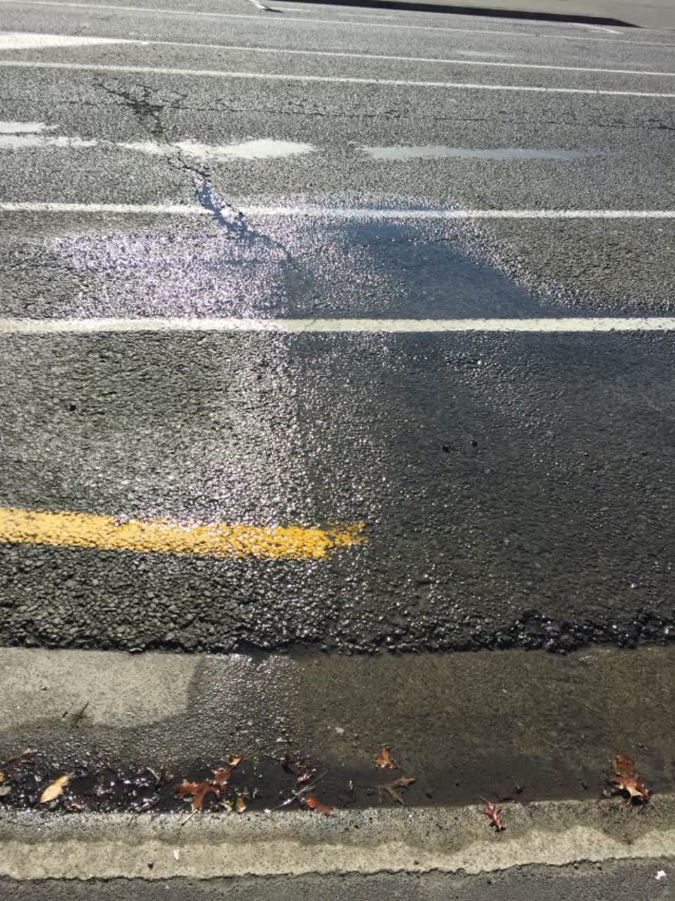 The photograph attached to this water supply report