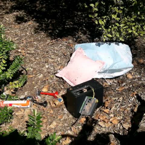 Rubbish/Recycling, a report photo