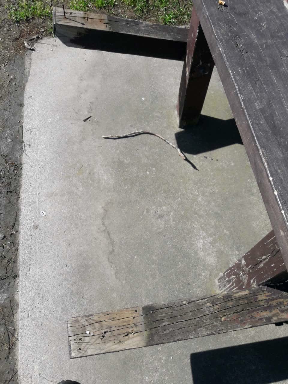 The photograph attached to this parks report
