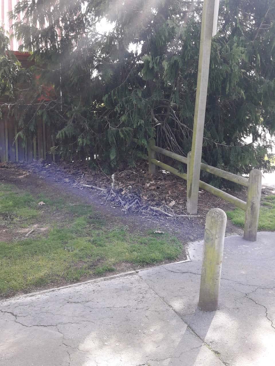 The photograph attached to this parks report