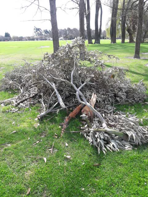 Rubbish/Recycling — a report photo