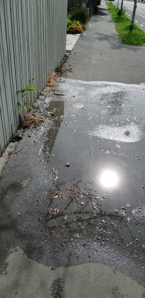 Water Supply, a report photo