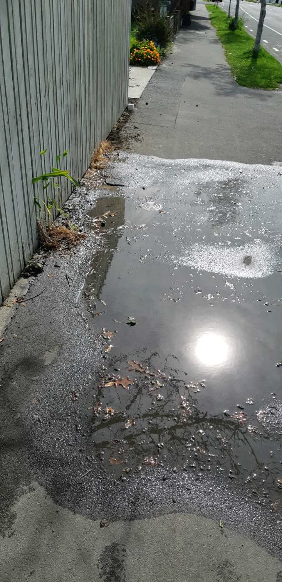 The photograph attached to this water supply report
