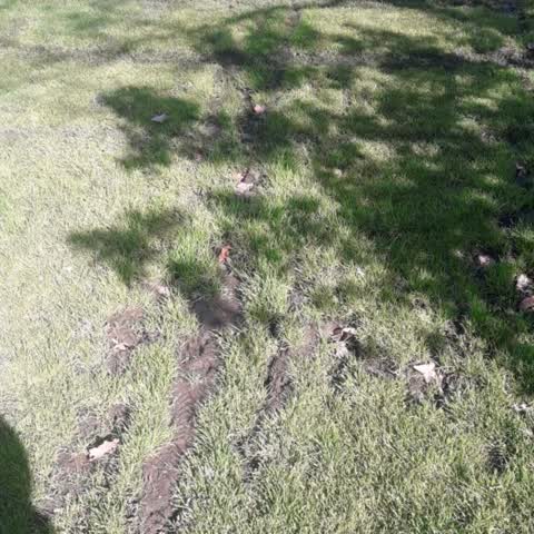 Parks, a report photo