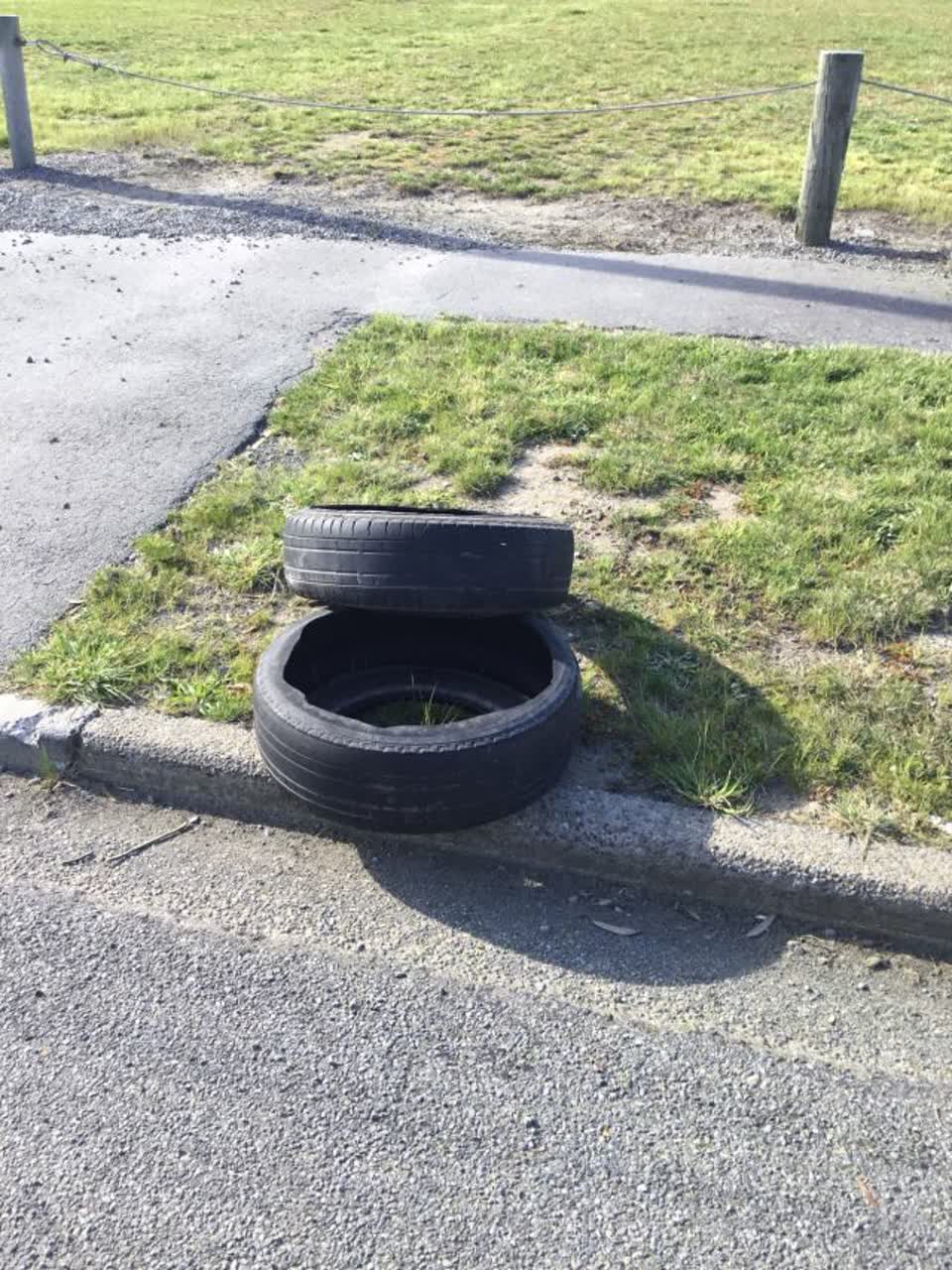 The photograph attached to this rubbish/recycling report