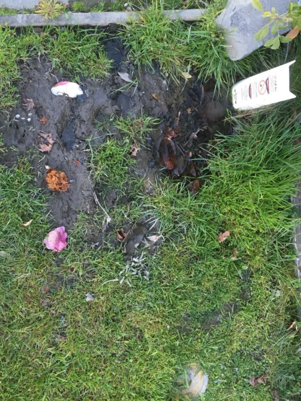 The photograph attached to this water supply report
